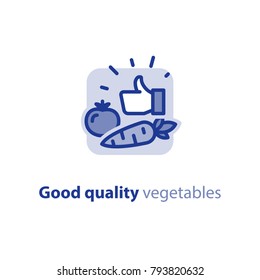 Special Offer Grocery Store, Quality Control, Fresh Vegetables, Thumb Up Vector Line Icon