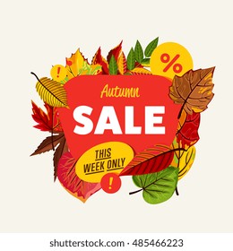 Special offer sale tag discount symbol retail sticker sign price isolated modern graphic style vector illustration. 