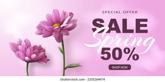 Special offer Spring sale banner with two realistic pink chrysanthemum flowers on a pink background and advertising discount text decoration. Vector illustration.