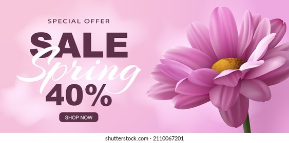 Special offer Spring sale banner with realistic pink chrysanthemum flower on a pink background and advertising discount text decoration. Vector illustration.