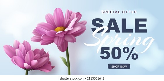 Oferta especial Banner de venta Primavera con dos flores de crisantemo rosado realistas sobre un fondo azul y publicidad de descuento de texto decoración. Ilustración vectorial.