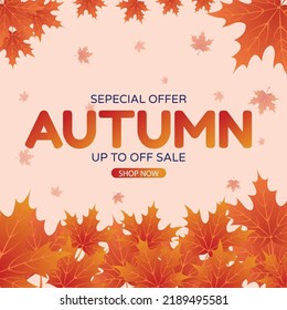 special offer vector design for autumn