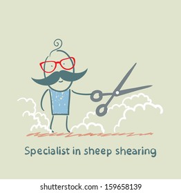 Specialist sheep shearing
