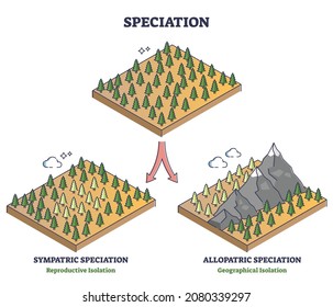 Speciation process with sympatric and allopatric division outline diagram. Labeled educational reproductive and geographical isolation examples with forest trees evolution models vector illustration.