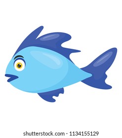 
A specie of lake malawi cichlids in sharp blue color lives in rocky substrates, electric blue hap 
