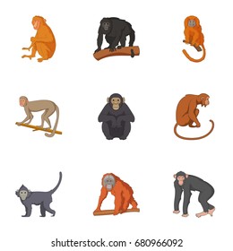 Species of chimpanzee icons set. Cartoon set of 9 species of chimpanzee vector icons for web isolated on white background