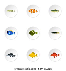 Species of fish icons set. Flat illustration of 9 species of fish vector icons for web