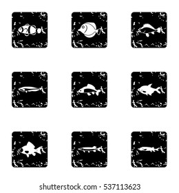 Species of fish icons set. Grunge illustration of 9 species of fish vector icons for web