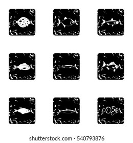 Species of fish icons set. Grunge illustration of 9 species of fish vector icons for web