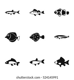 Species of fish icons set. Simple illustration of 9 species of fish vector icons for web