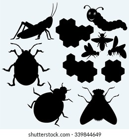 Species of insects: grasshopper, gaterpillar, working bee on honeycells, ladybug,  flies and beetle. Isolated on blue background. Vector silhouettes