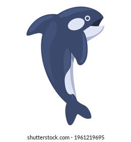 Species killer whale icon. Cartoon of Species killer whale vector icon for web design isolated on white background