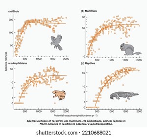 Species Richness Of Birds, Mammals, Amphibians And Reptiles In North America In Relation To Potential Evapotranspiration - Evapotranspiration - North America 