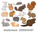 Species of Rodents with Rabbit, Hamster, Mouse, Squirrel, Rat, Beaver and Chipmunk Big Vector Set