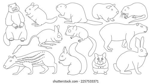 Species of rodents vector black set icon. Isolated black set icon gnawer.Vector illustration species of rodents on white background.