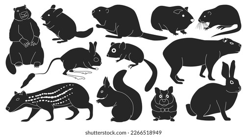 Species of rodents vector black set icon. Isolated black set icon gnawer.Vector illustration species of rodents on white background.