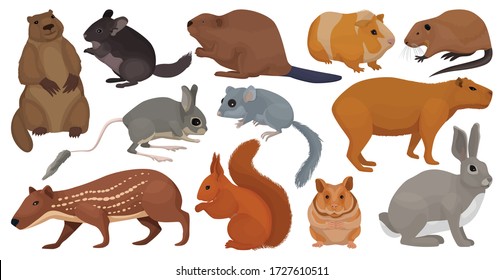 Species Of Rodents Vector Cartoon Set Icon. Isolated Cartoon Set Icon Gnawer.Vector Illustration Species Of Rodents On White Background.