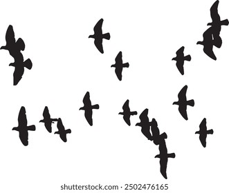 species in silhouette form. These illustrations are typically simple, black-and-white designs that showcase the distinct shapes and profiles of birds in different poses, such as flying.