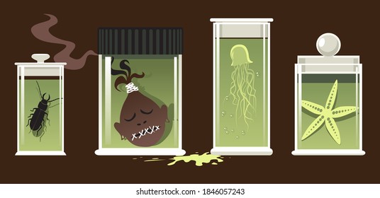 Specimen jars with natural science objects preserved, EPS 8 vector illustration, no transparencies