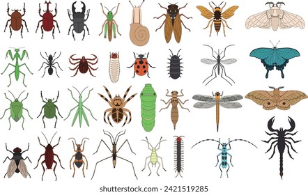 Specimen style color insect icon set