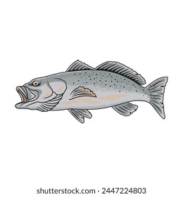 Speckled Trout fishing illustration logo vector image t shirt