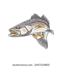 Speckled Trout fishing illustration logo vector image t shirt