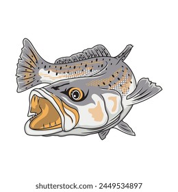 Speckled Trout fishing illustration logo vector image t shirt