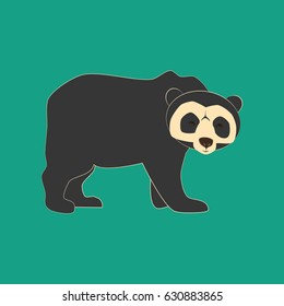 Spectacled bear animal illustration on the green background. Vector illustration