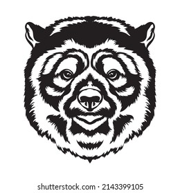 Spectacled bear face vector illustration in hand drawn style, perfect for tshirt design and mascot logo