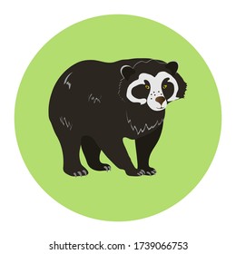 Spectacled bear on a green background. Animals of South America.