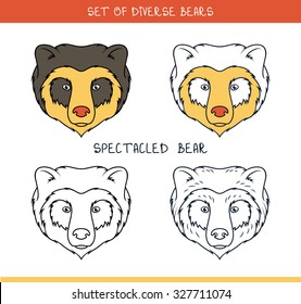 Spectacled Bear Set isolated heads color, lines. 