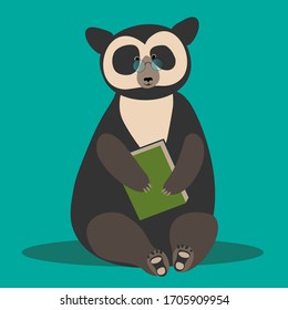 Spectacled bear sitting with a book on a green background. Animals of south america.