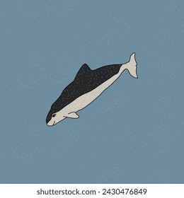 Spectacled porpoise. Vector hand drawn cartoon childish illustration on the blue background. Polar animal in Antarctica with textures