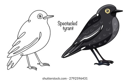 Spectacled tyrant. Two hand-drawn birds with long tails and pointed beaks. They have contrasting black and white plumage and bright white patches around their eyes, reminiscent of spectacles.