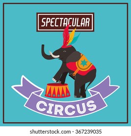 spectacular circus show design 