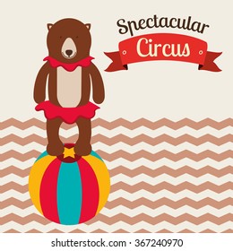 spectacular circus show design 