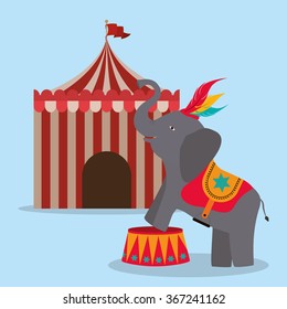 spectacular circus show design 