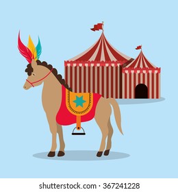 spectacular circus show design 
