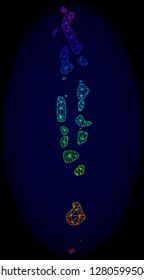 Spectrum colored mesh vector map of Maldives isolated on a dark blue background. Abstract lines, triangles forms map of Maldives. Carcass model for political illustrations.