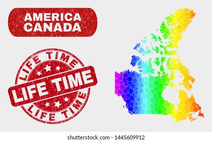 Spectrum dot Canada v2 map and seal stamps. Red round Life Time grunge seal stamp. Gradient spectrum Canada v2 map mosaic of random circle. Life Time seal stamp with grunge texture.