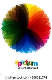spectrum flower isolated on white background