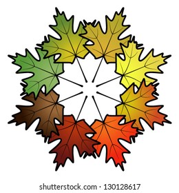 A spectrum of maple leaves in a circular arrangement. Individual leaves are separate objects.