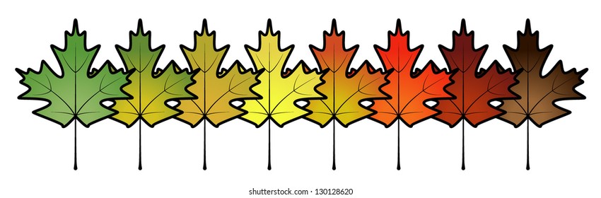 A spectrum of maple leaves. Individual leaves are separate objects.