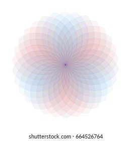 spectrum spirograph and purple line