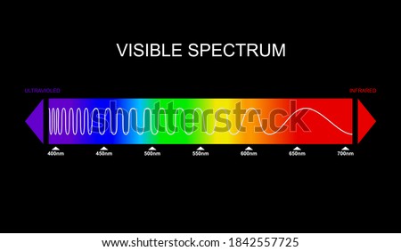 Spectrum, visible light diagram. Portion of the electromagnetic spectrum that is visible to the human eye. Color electromagnetic spectrum, light wave frequency. Infrared and ultraviolet. Vector