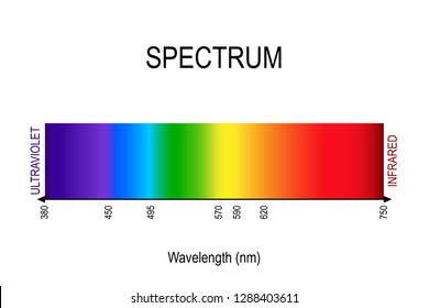 Spectrum. Visible Light, Infrared, And Ultraviolet. Electromagnetic Radiation. Sunlight Color. Different Types Of Electromagnetic Radiation By Their Wavelengths