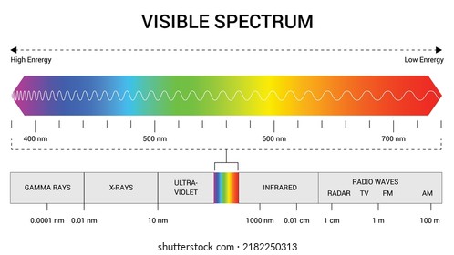 Spectrum Wavelength. Visible Spectrum Color Range. Educational Physics Light Line. Light Wave Frequency. Wavelengths Of The Visible Part Of The Spectrum For Human Eyes