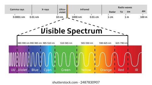 Spectrum wavelength. Visible spectrum color range. Educational physics light line. Light wave frequency. Wavelengths of the visible part of the spectrum for human eyes