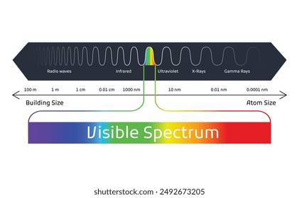 Spectrum wavelength. Visible spectrum color range. Educational physics light line. Light wave frequency. Wavelengths of the visible part of the spectrum for human eyes