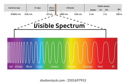 Spectrum wavelength. Visible spectrum color range. Educational physics light line. Wavelengths of the visible part of the spectrum for human eyes